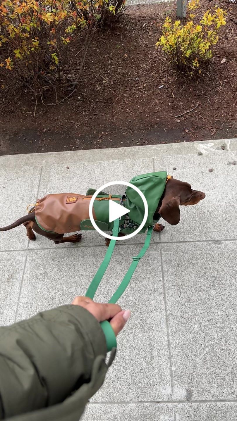 Customer video review of Stormhunter Raincoat