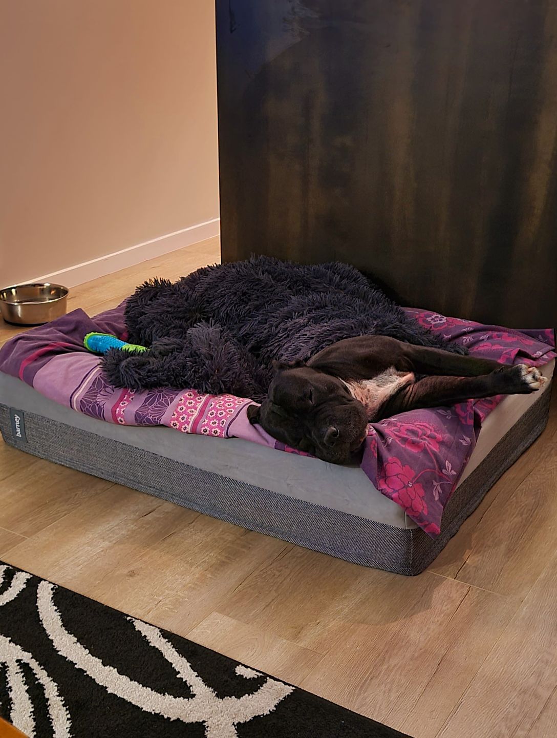 Customer photo review of Matching Calming Blanket