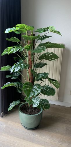 Customer photo review of Monstera Kunstplant 120cm