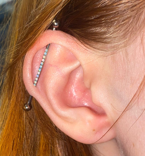 Customer photo review of Front Facing Opal Hinged Ring