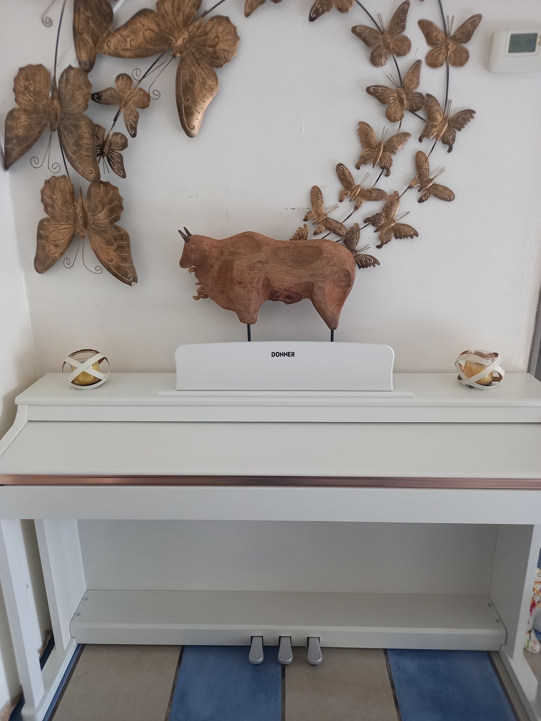 Customer photo review of Donner DDP-100 Piano numérique 88 touches lestées