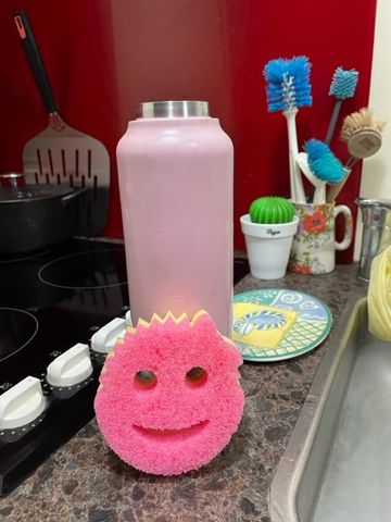 Customer photo review of Double Trio - Bar Keepers Friend x Scrub Daddy