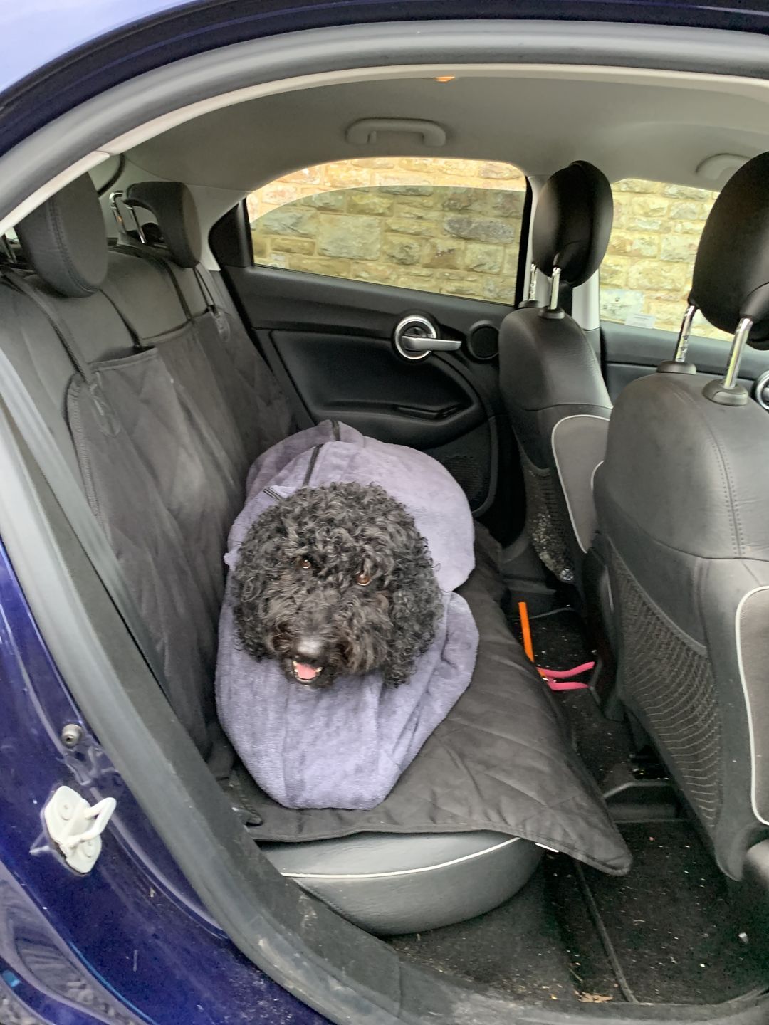 Customer photo review of Luxury Dog Towel