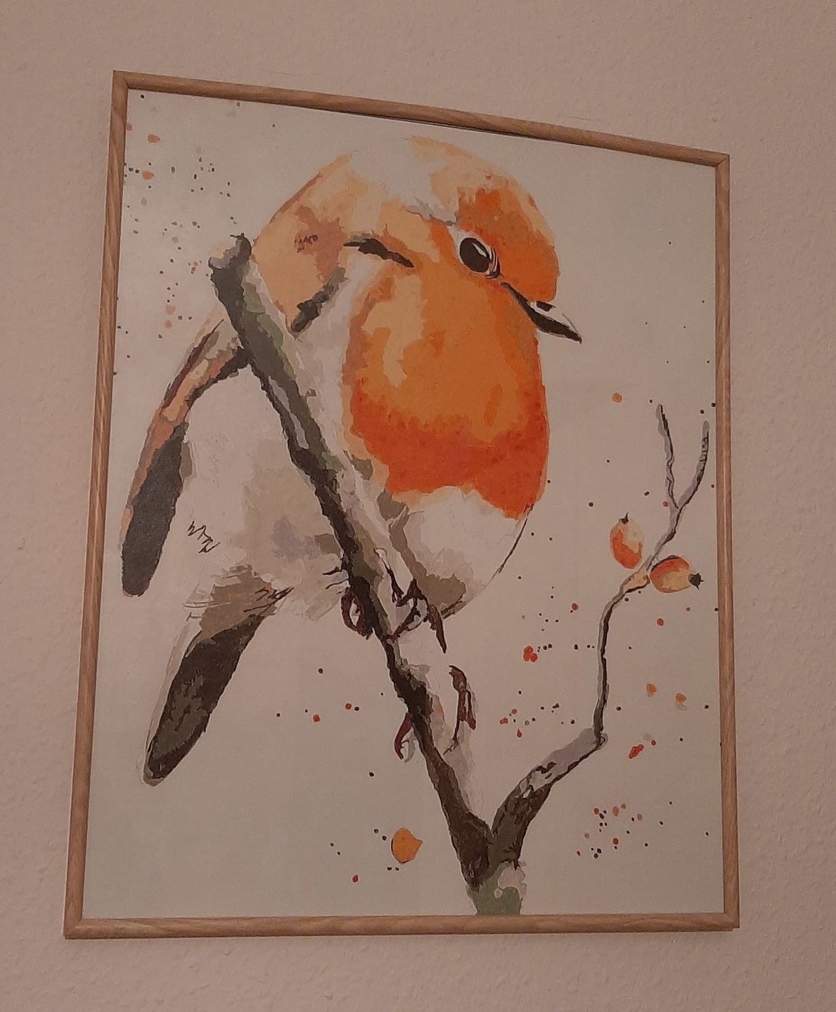 Customer photo review of Malen nach Zahlen - Rotkehlchen - by Tiny Tami