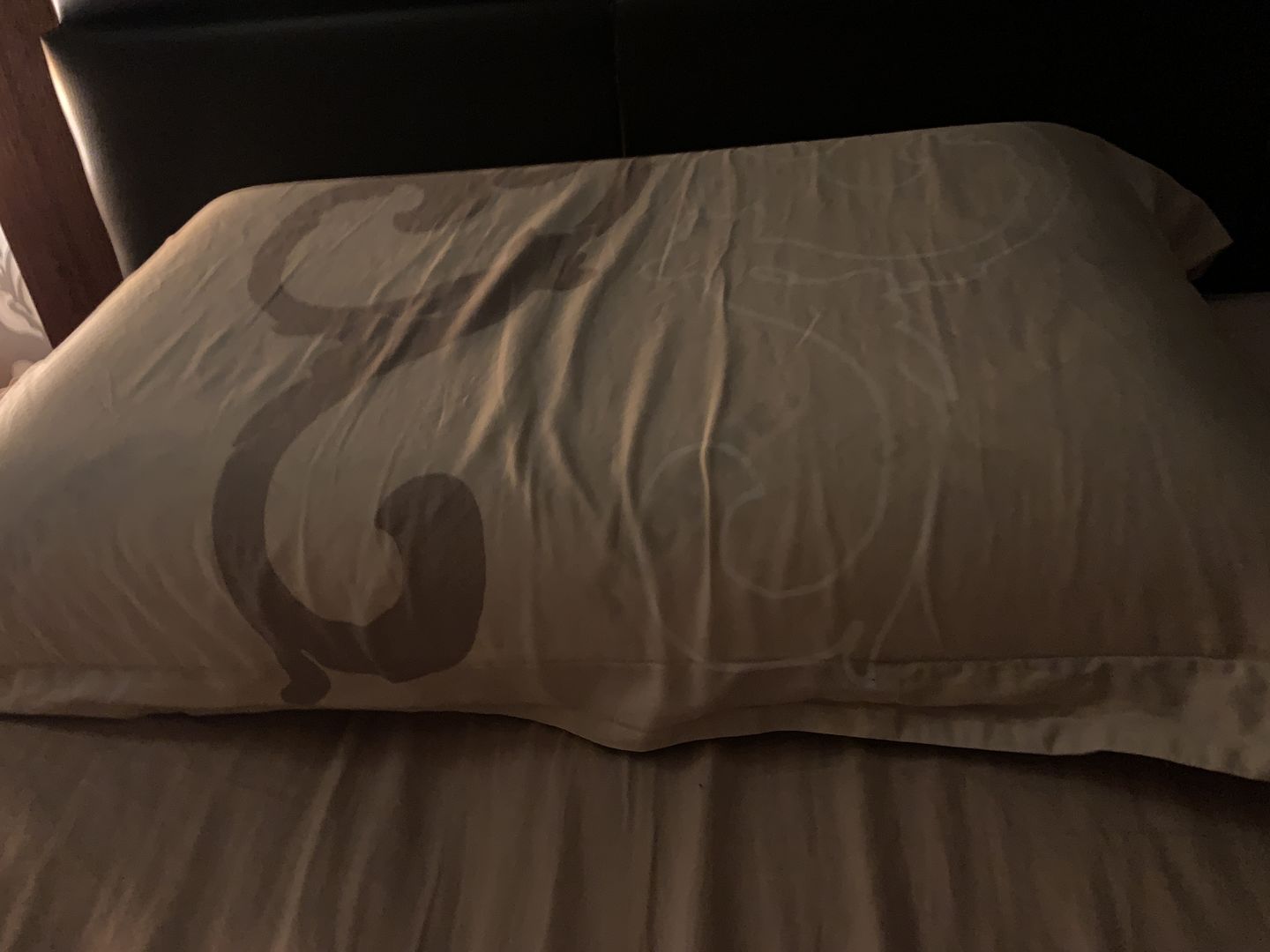 Customer photo review of Cooling Memory Foam Gel Pillow- Medium