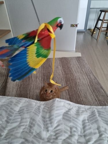 Customer photo review of Interaktiv simulation hængende fuglelegetøj