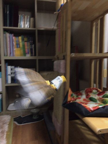 Customer photo review of Interaktiv simulation hængende fuglelegetøj