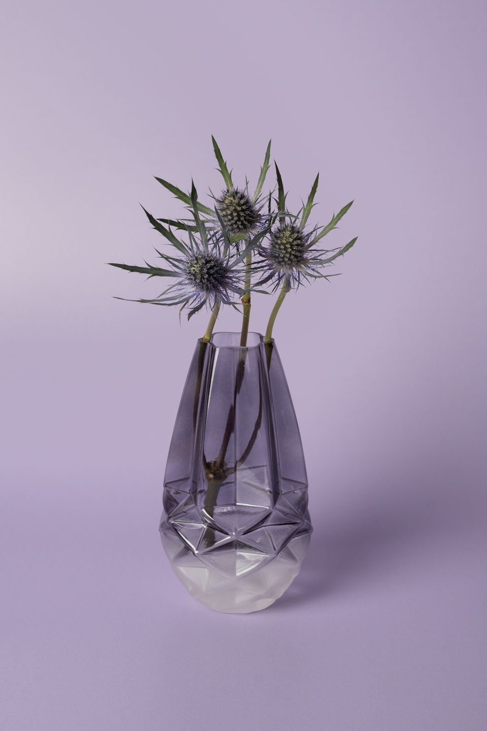 Customer photo review of Periwinkle