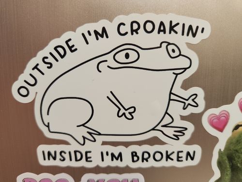 Customer photo review of Outside I'm Croakin' sticker