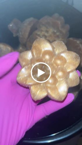 Customer video review of Professional | Hard Wax | 5LB & Up