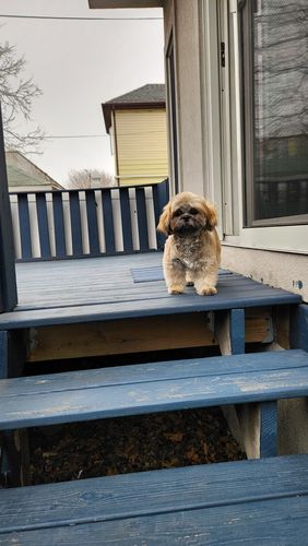 Customer photo review of Beach Silicone