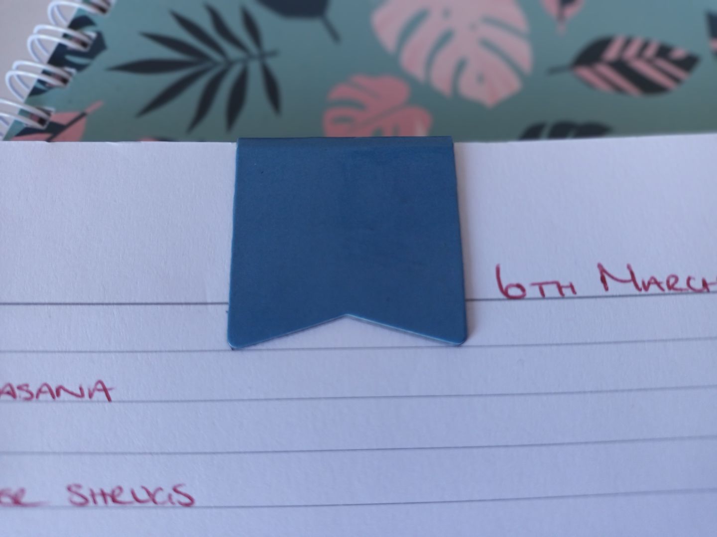 Customer photo review of Assorted Bookmarks - Seconds
