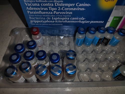 Customer photo review of Programa Revacunación Anual Excelente