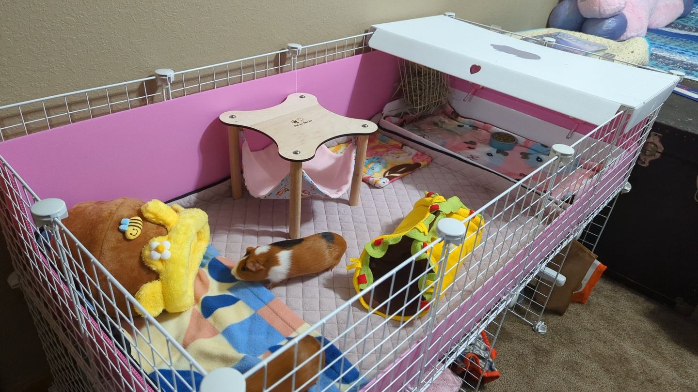 Customer photo review of GuineaDad Premium Liner - Ultra-Plush Guinea Pig Fleece Liner with AirCell™ Technology