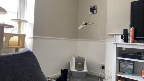 Customer photo review of Interaktiv simulation hængende fuglelegetøj