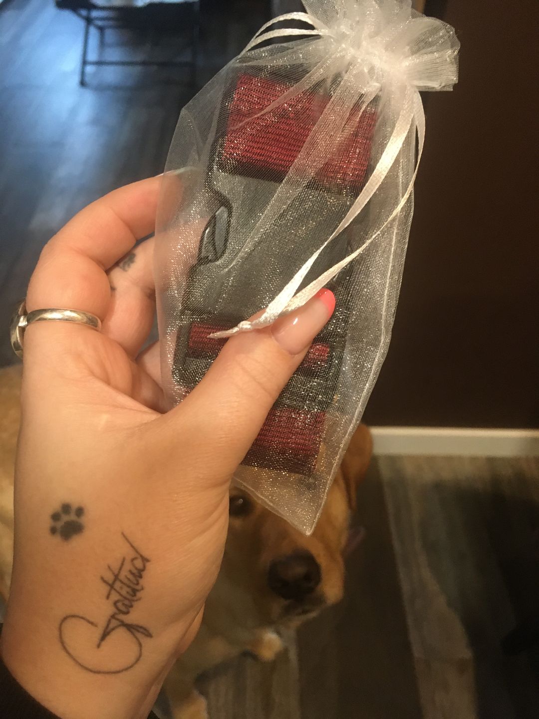 Customer photo review of Extensible para añadir a la cinta ajustable de cadera (ORIGINAL/STANDARD)