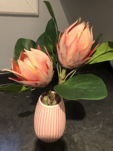 Customer photo review of Wholesale Artificial Flowers King Protea Stem