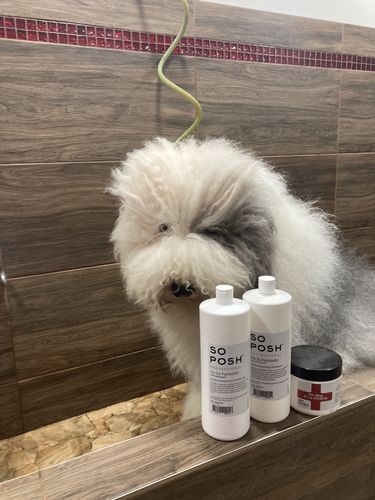 Customer photo review of I'm So Fantastic Conditioner