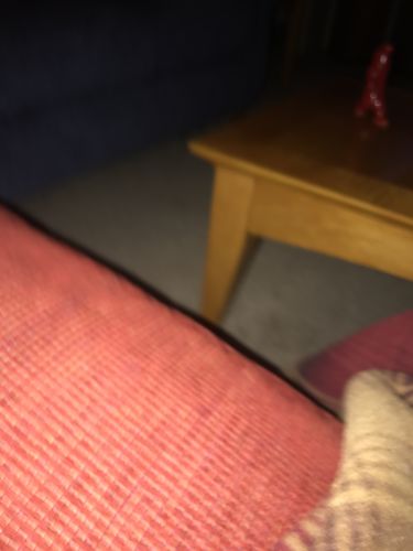 Customer photo review of Rocket Nail Fuel Duo