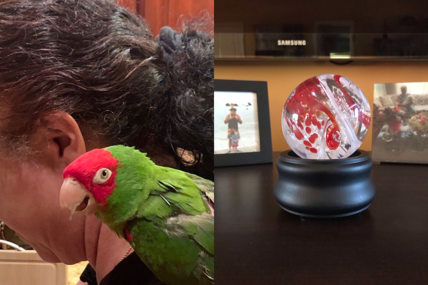 Customer photo review of Black Wood Illuminated 3" Stand