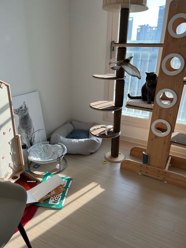 Customer photo review of Interaktiv simulation hængende fuglelegetøj