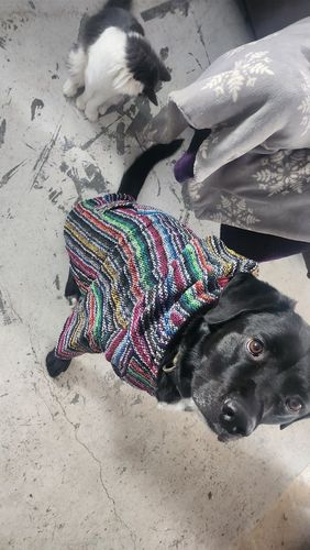 Customer photo review of Playa Poncho - Surprise Color