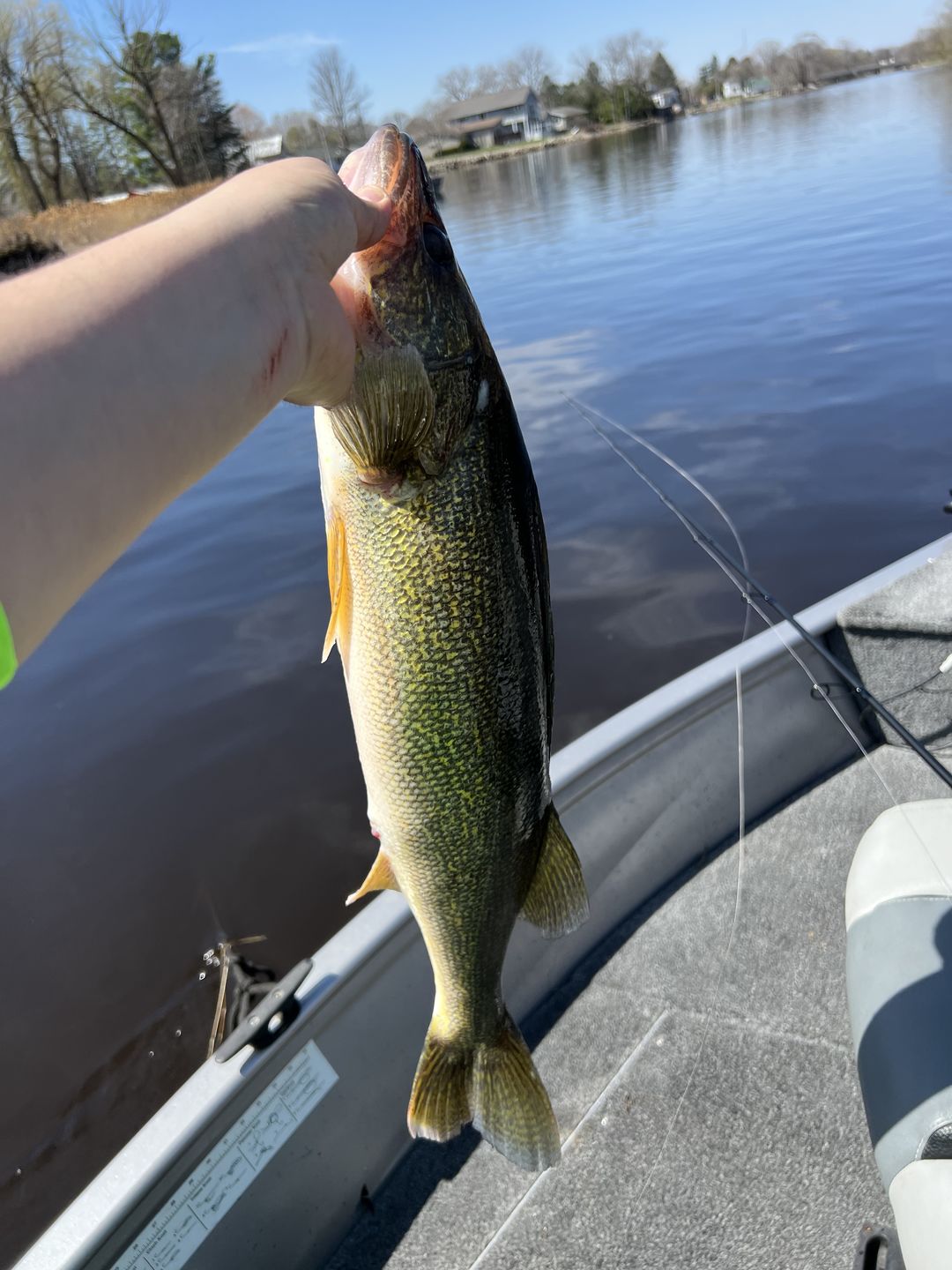 Customer photo review of Spinning Pre-Built Rod