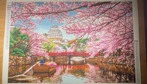 Customer photo review of Japanese Cherry Blossom on a River