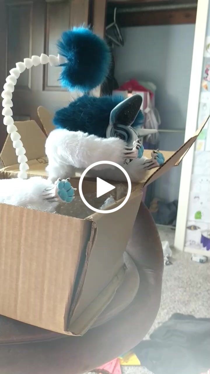 Customer video review of Schrödinger's cat
