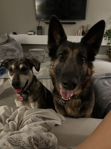 Customer photo review of Pink Silicone