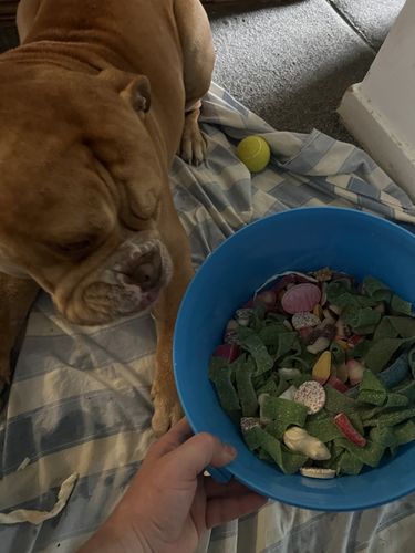 Customer photo review of 5kg Bucket Mix Your Own