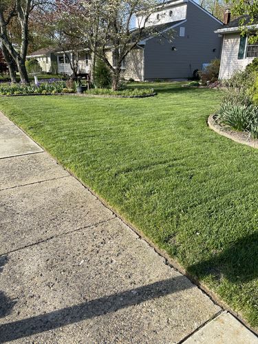 Customer photo review of Protene Performance Spring Fertilizer