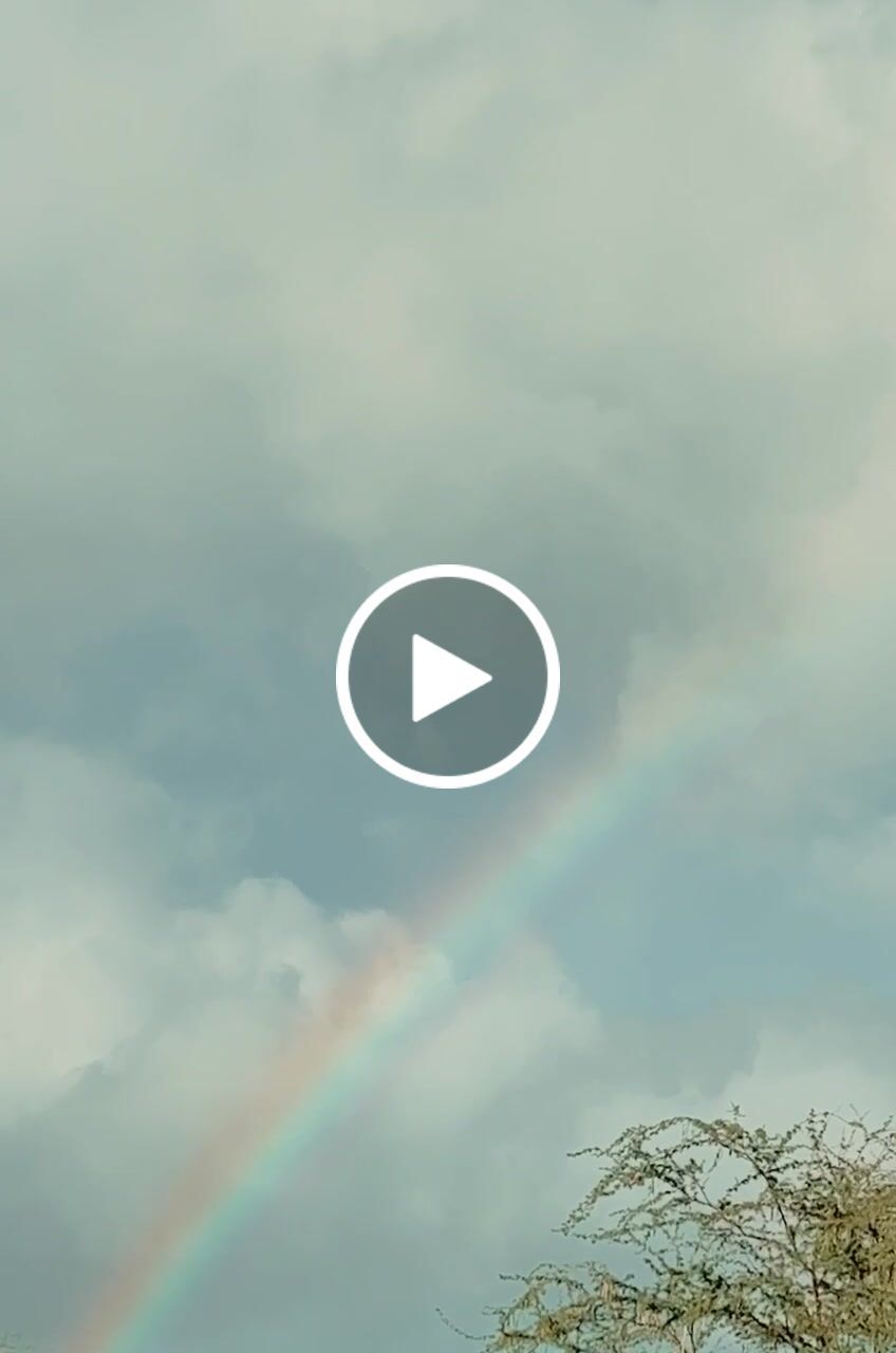 Customer video review of iPhone LUTs