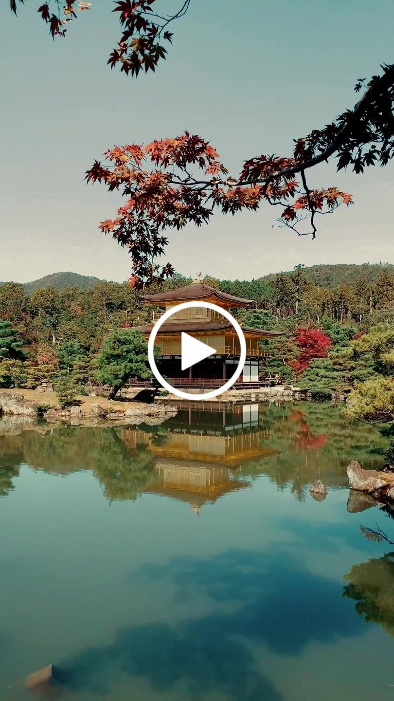 Customer video review of iPhone LUTs