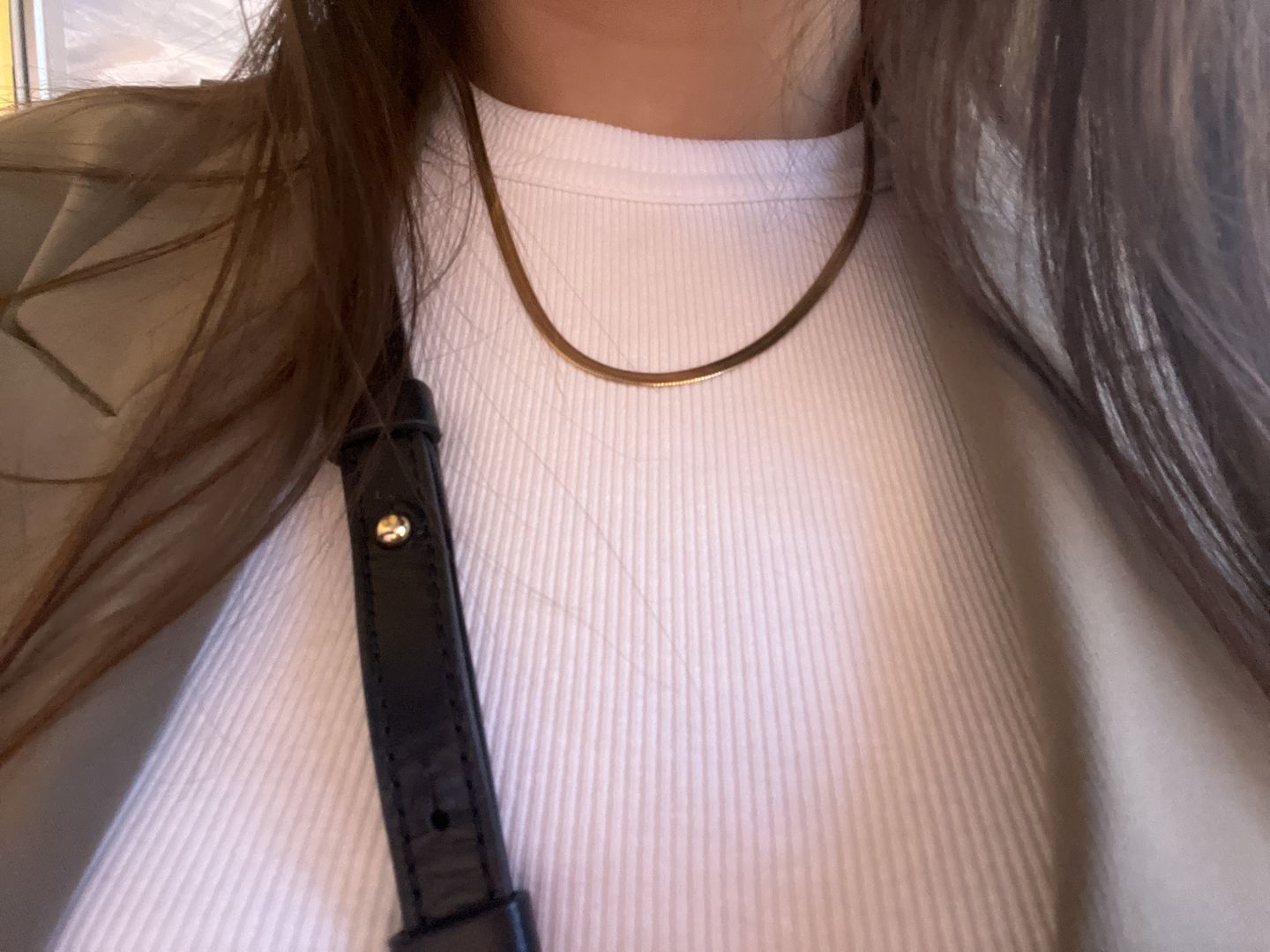 Customer photo review of Hi-Life Sleek Kette