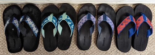 Customer photo review of Tropical Forest