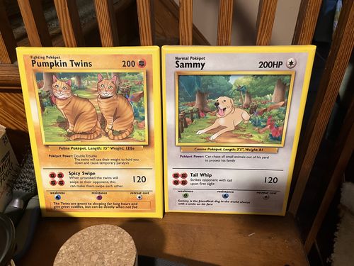 Poke Pet Shop Reviews Poke Pet Shop Reviews