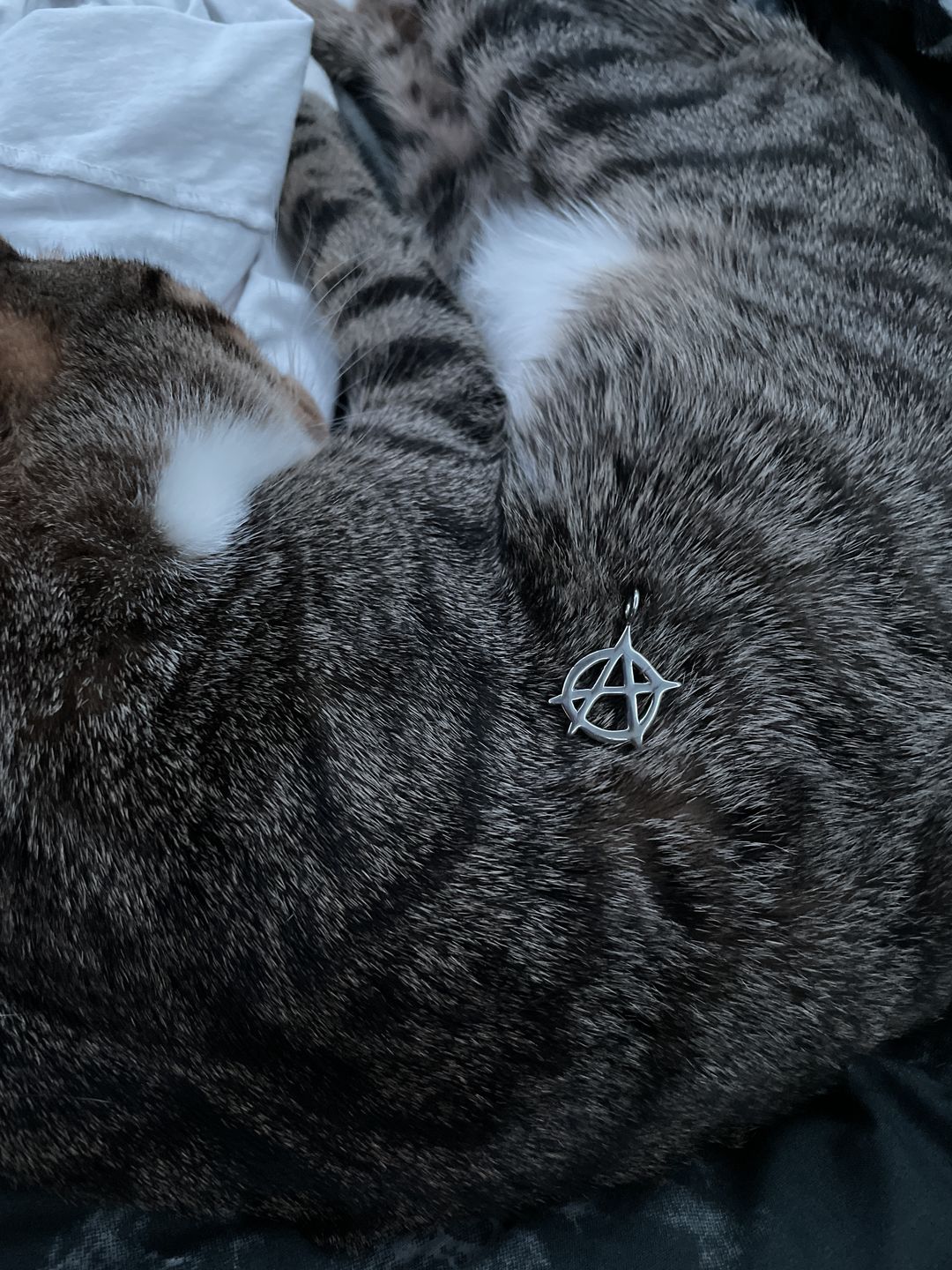 Customer photo review of ANARCHY PENDANT