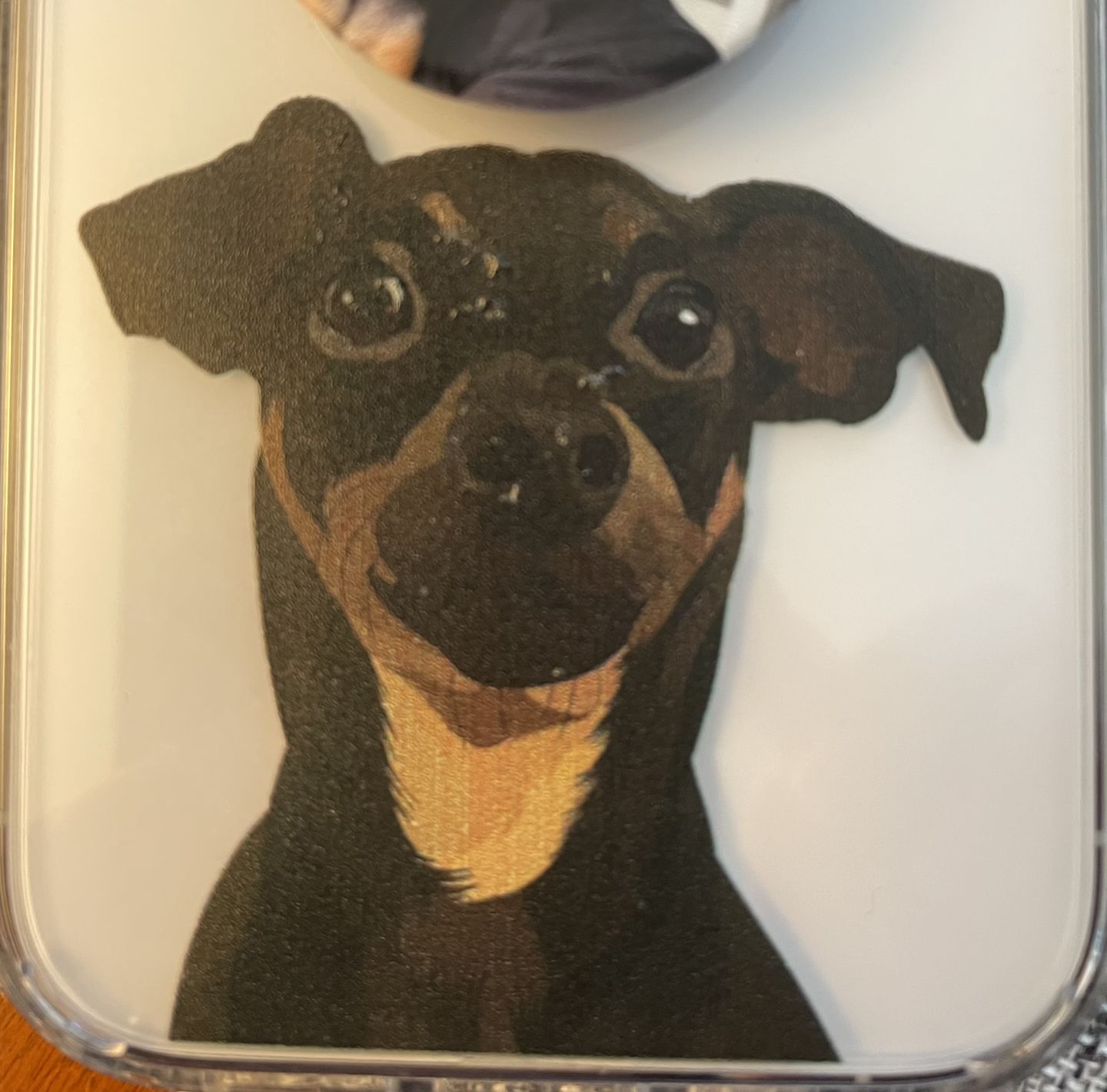 Customer photo review of Custom Pet Portrait Phone Cases