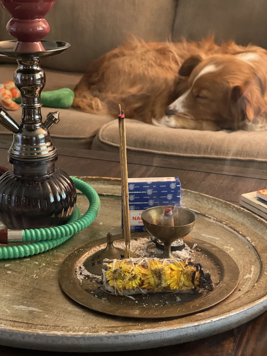 Customer photo review of Nag Champa Incense Cones