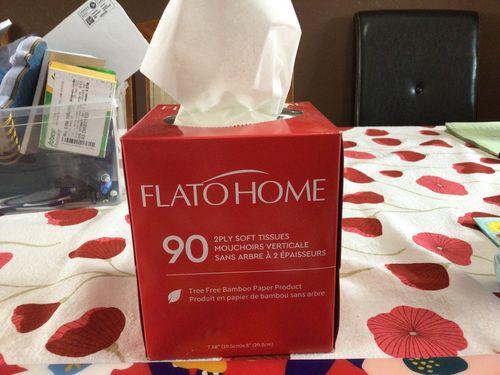 Customer photo review of Soft 90 count, 2 Ply Tree Free Facial Tissue Cube