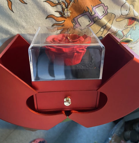 Customer photo review of Eternal Rose Box - With Real Rose & Necklace