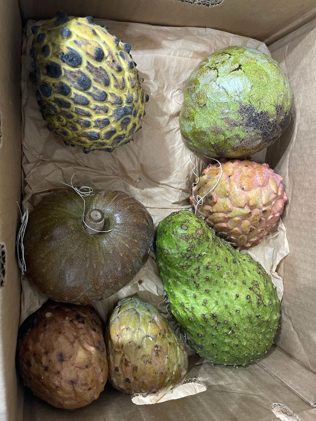 Customer photo review of Annona Variety Box