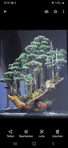 Customer photo review of Malen nach Zahlen - Dein Wunschmotiv