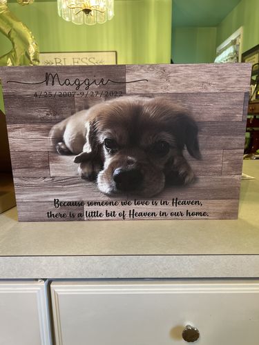 Customer photo review of Pet Memorial Gift For Pet Lovers Custom Pet Portrait In Memory Of Dog Memorial Gift Loss Of Dog Loss Pet Sympathy Gift Pet Remembrance Gift