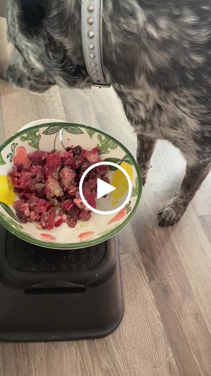 Customer video review of Primal Venison - Raw Free ranged for dogs and cats