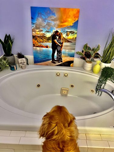 Customer photo review of Create Your Own Canvas Set - Portrait