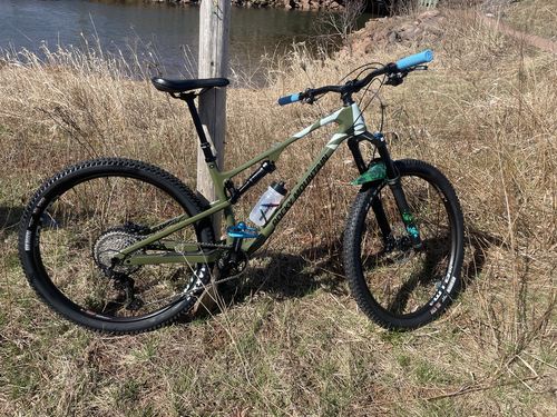 Customer photo review of Space Ferns Fender