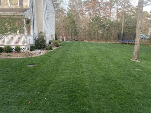 Customer photo review of Protene Performance Spring Fertilizer