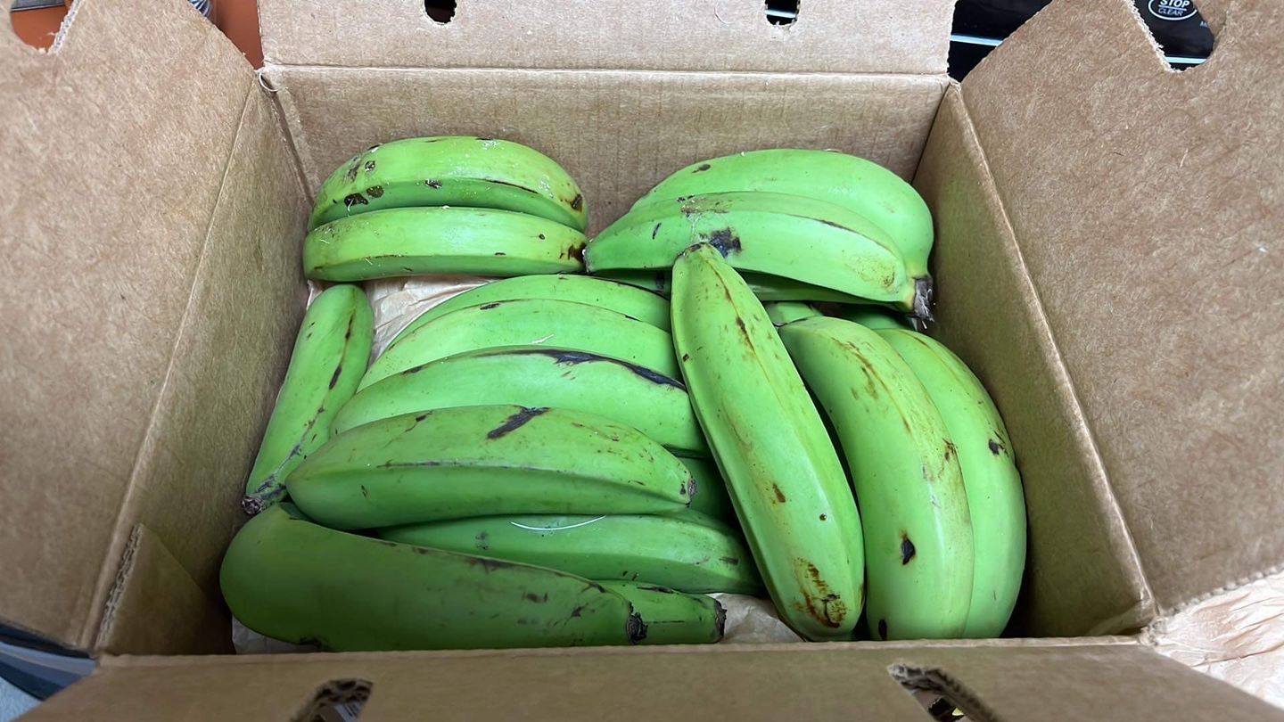 Customer photo review of Gros Michel Banana Box